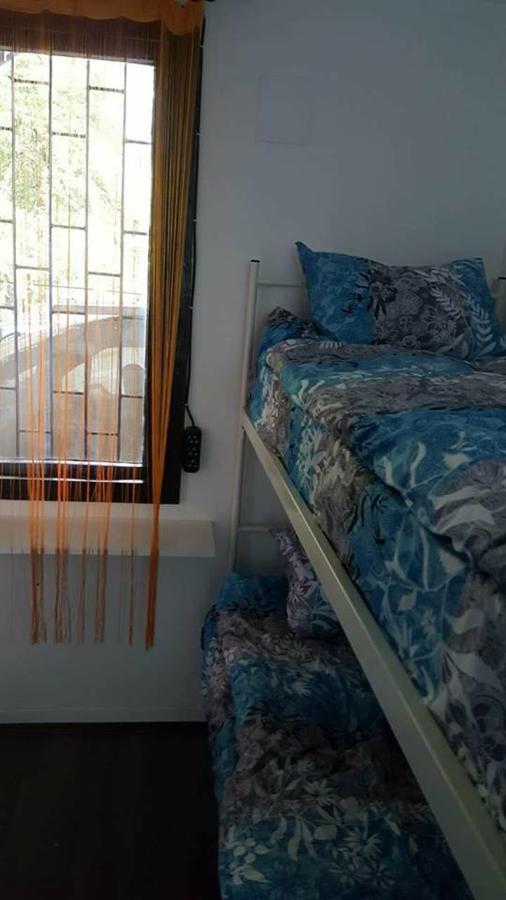 Hostel Belgrade Shungit Dragana Jeftica Br 10 Екстериор снимка